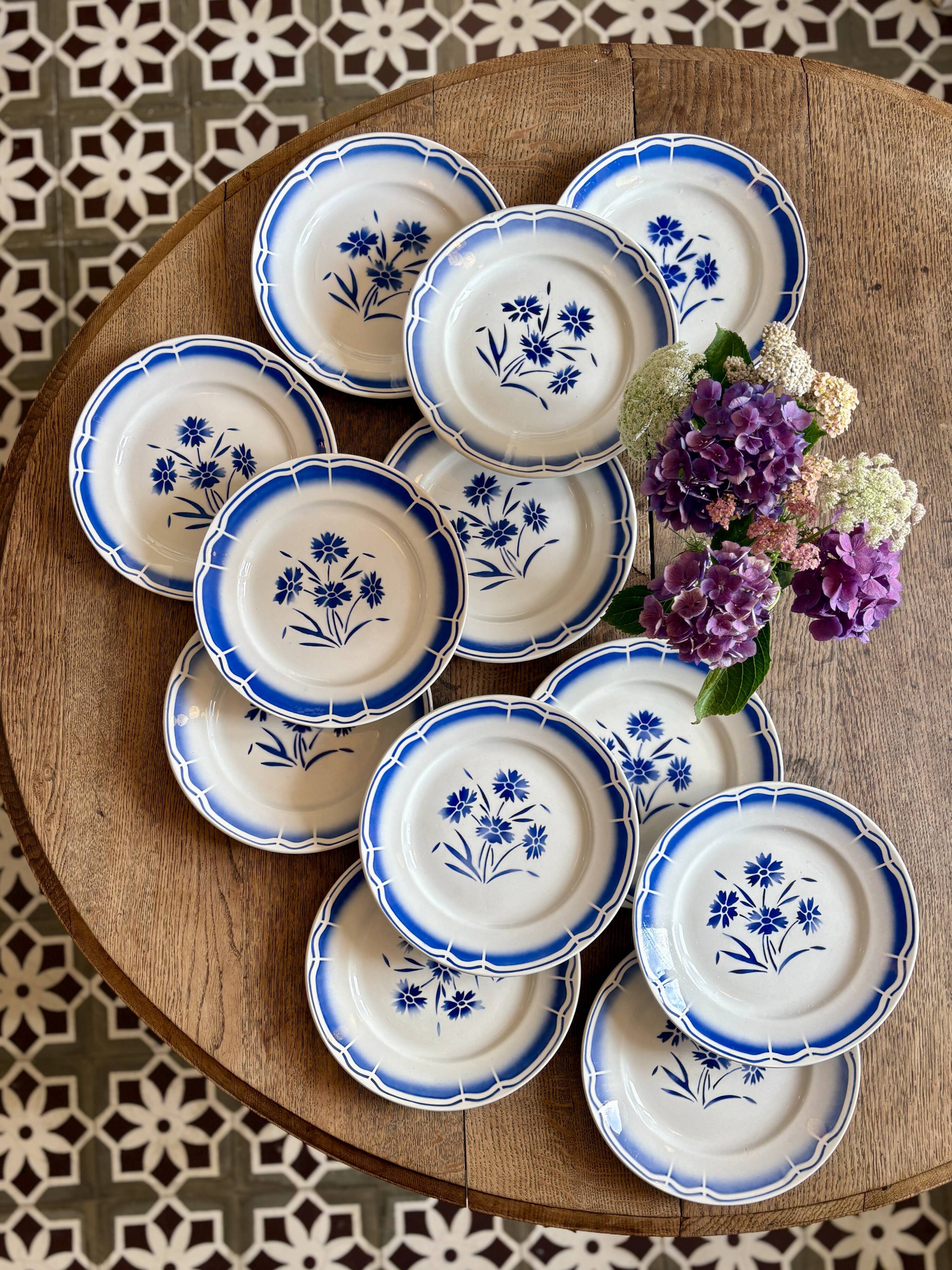 Set of 12 antique flat plates, blue flower decorations