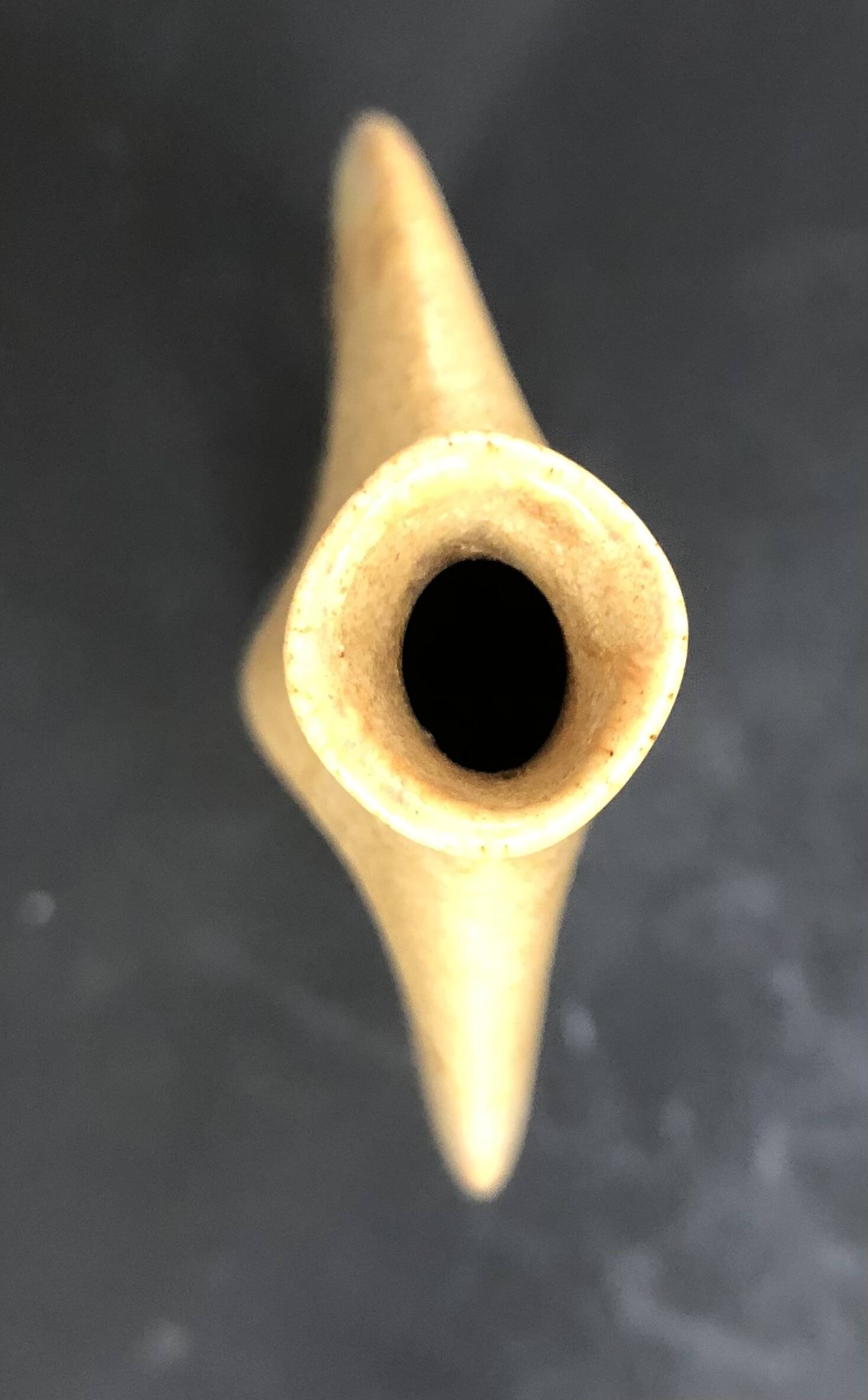 Modern sgrafo vase by Peter Müller, Germany