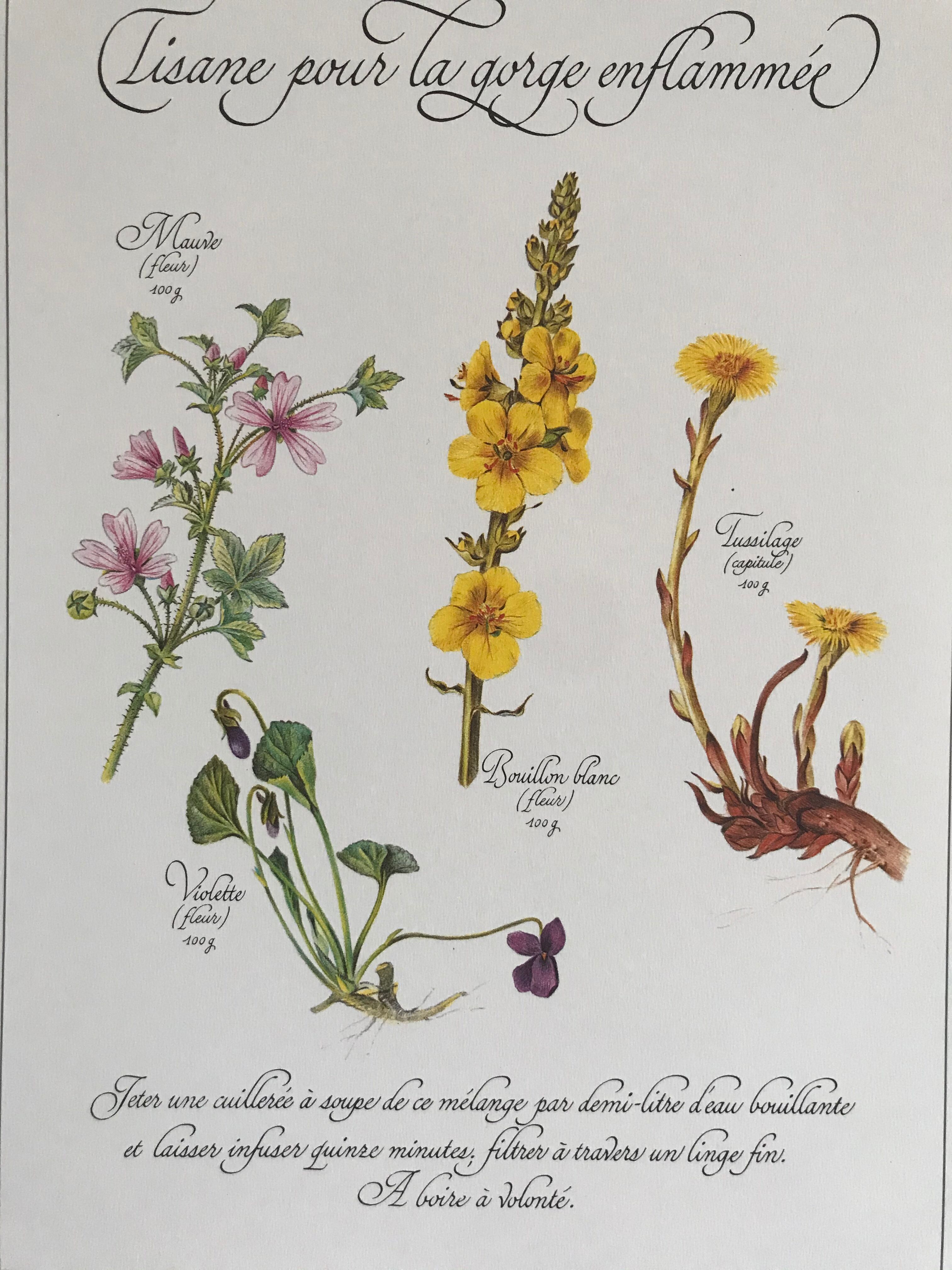 Vintage botanical board