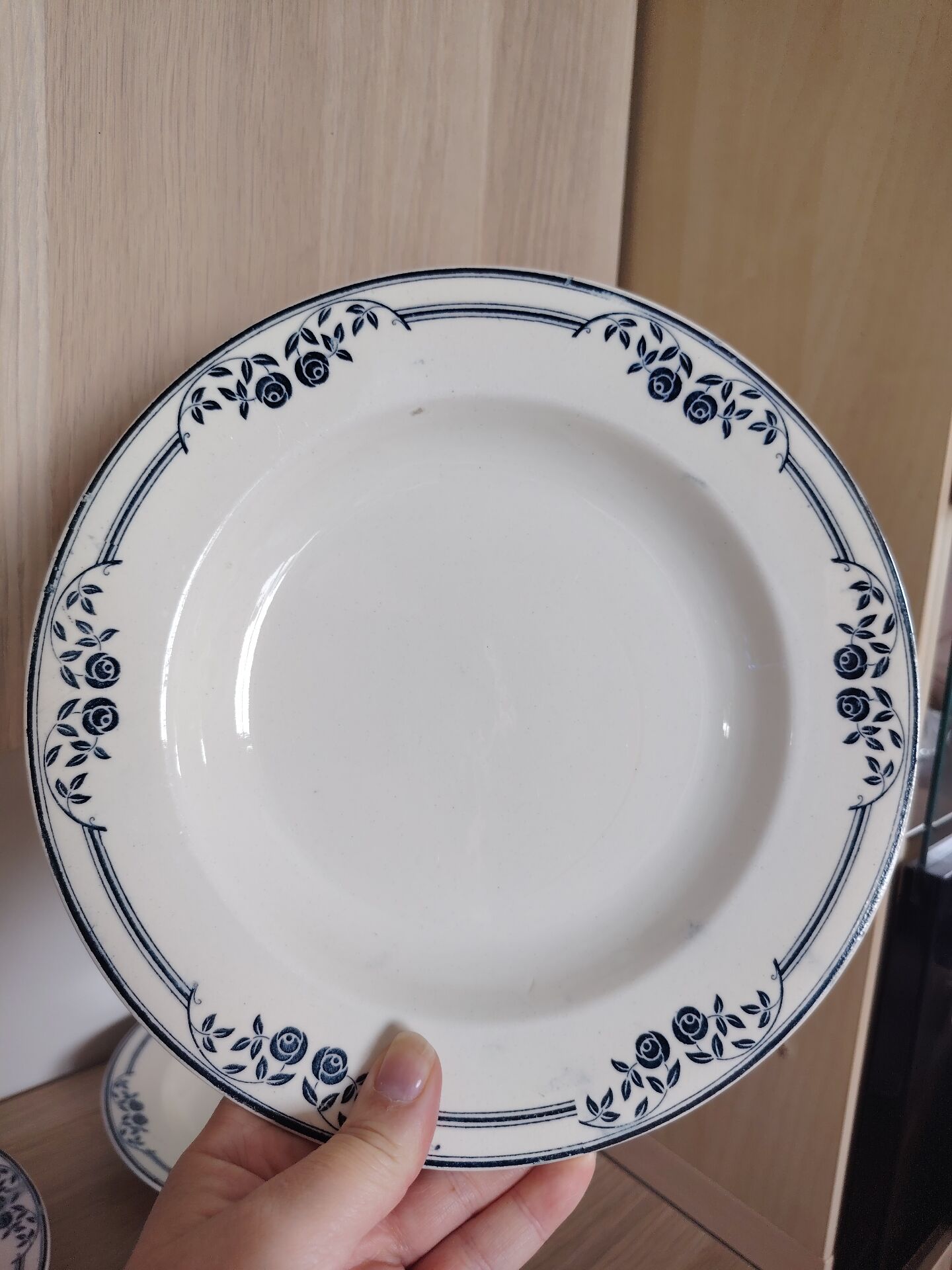 4 deep plates Saussure Ironstone