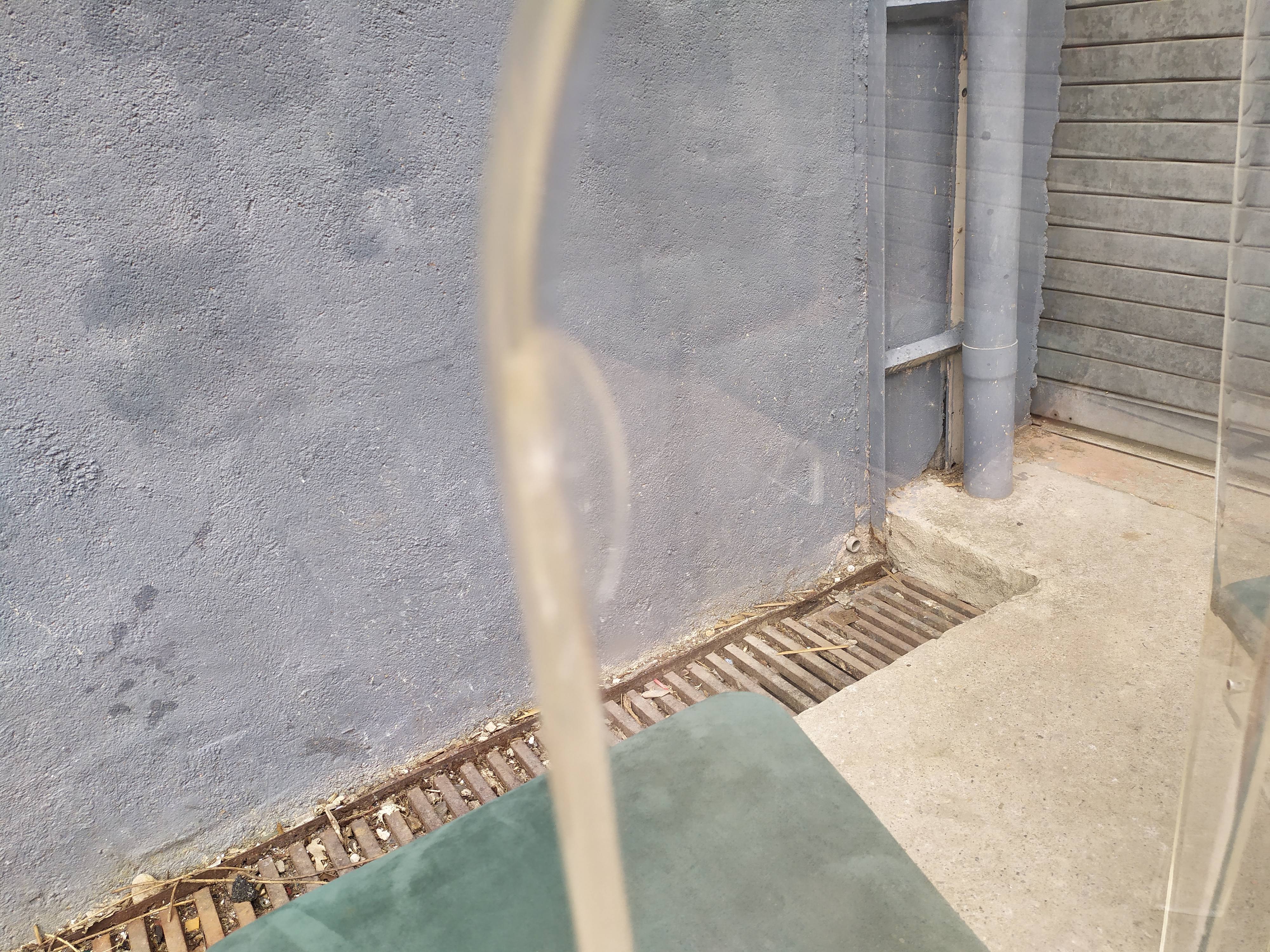 4 Plexiglas Roche and Bobois chairs