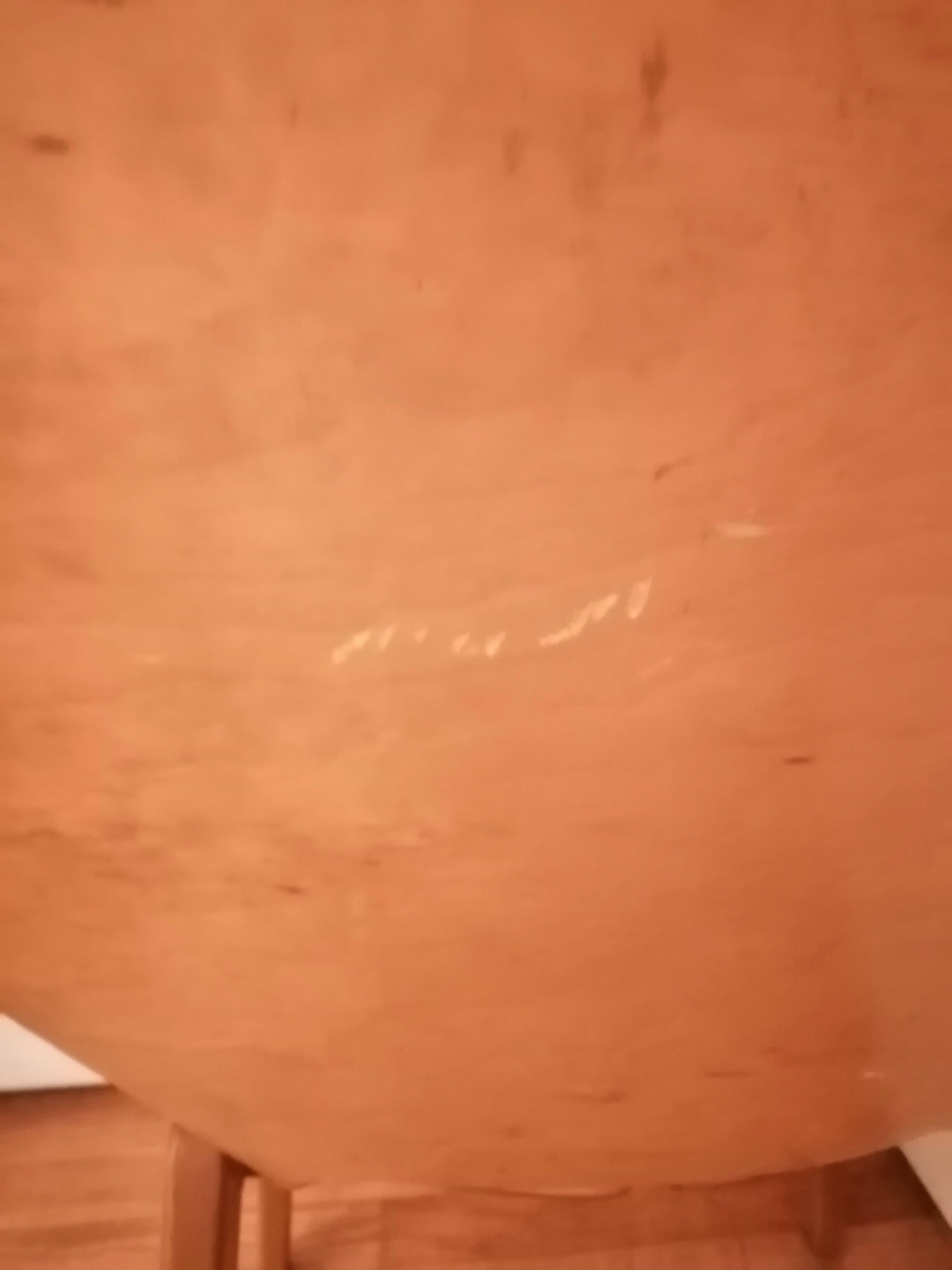 Chair "tonne" Steiner, Pierre Guariche. 1954