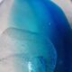Sulfide jellyfish