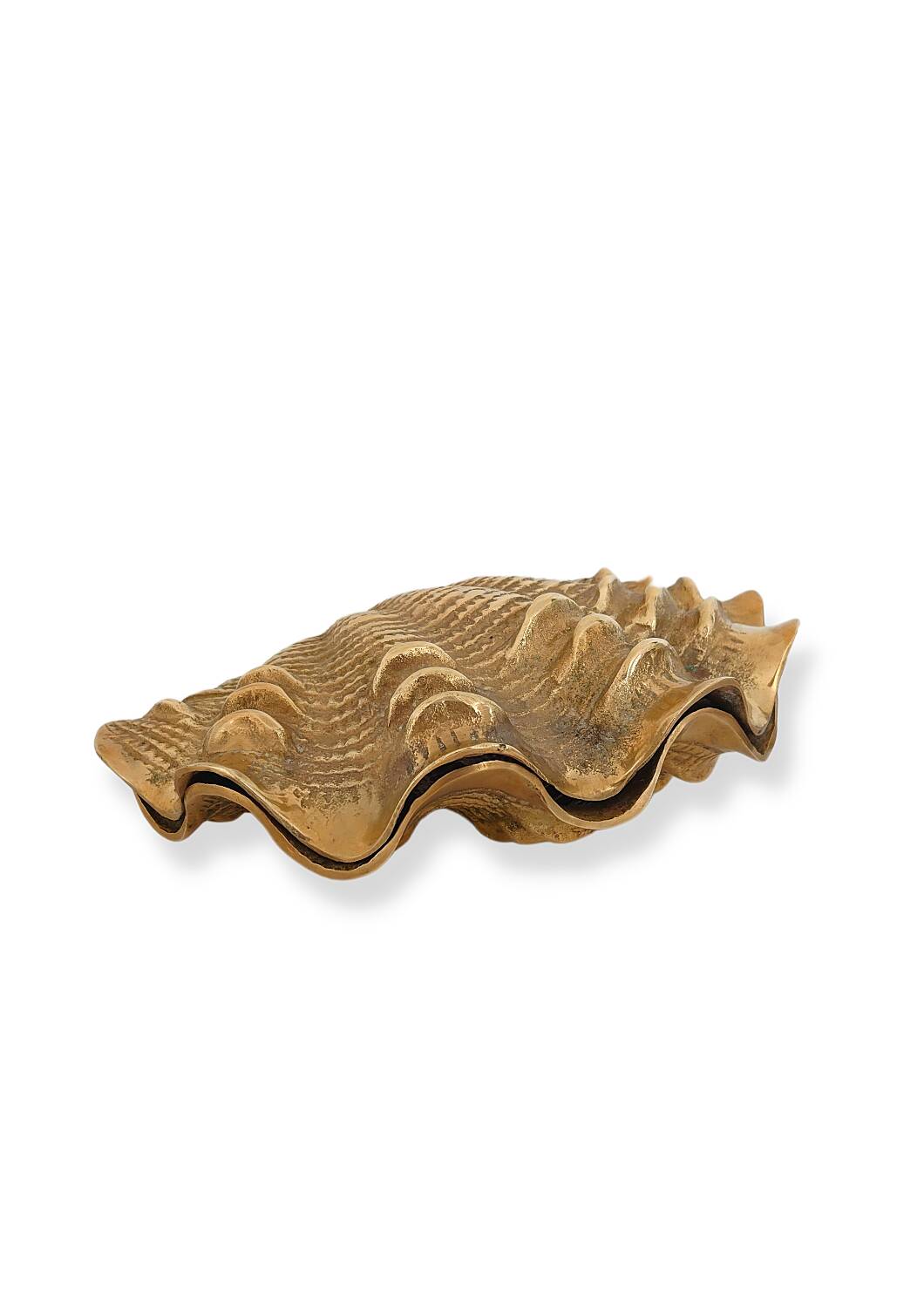 Boîte à coque en laiton moulé