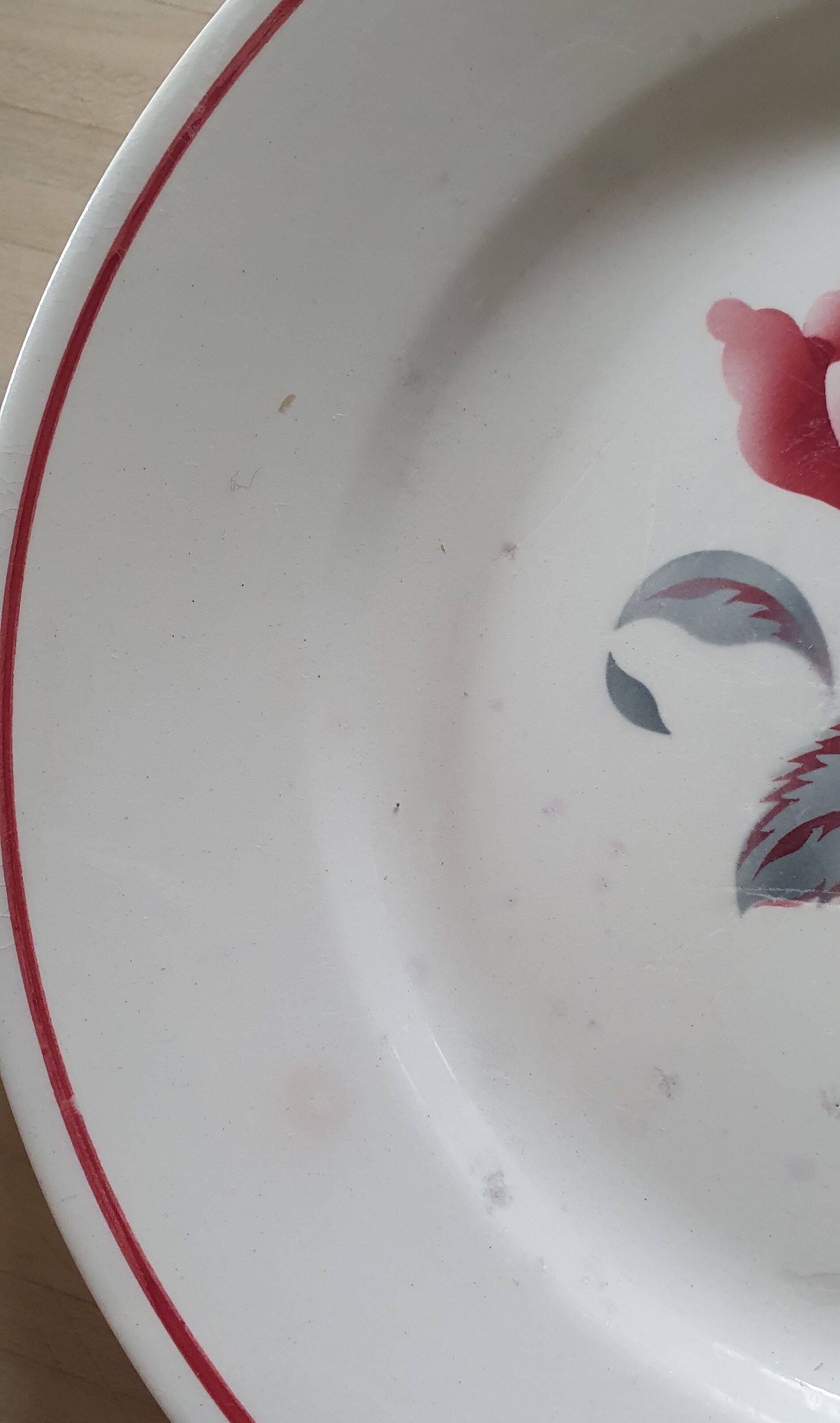 Earthenware plate