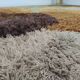 large carpet Desso Space age 200x300cm, Holland 1970s