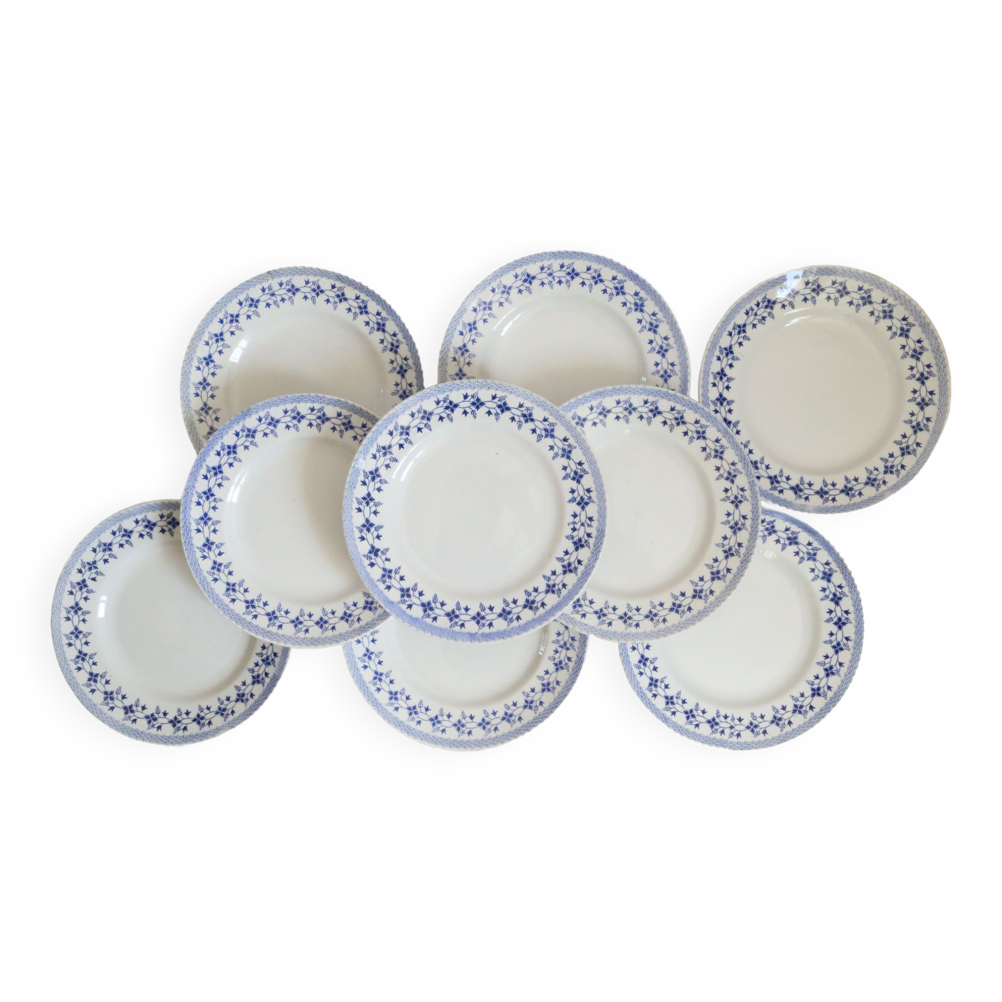 Ensemble de 9 assiettes plates, saint Amand, Bleuets, terre de fer