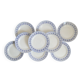 Ensemble de 9 assiettes plates, saint Amand, Bleuets, terre de fer