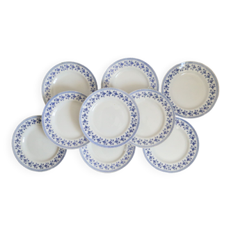 Set of 9 flat plates, Saint Amand, Blueberries, iron earth