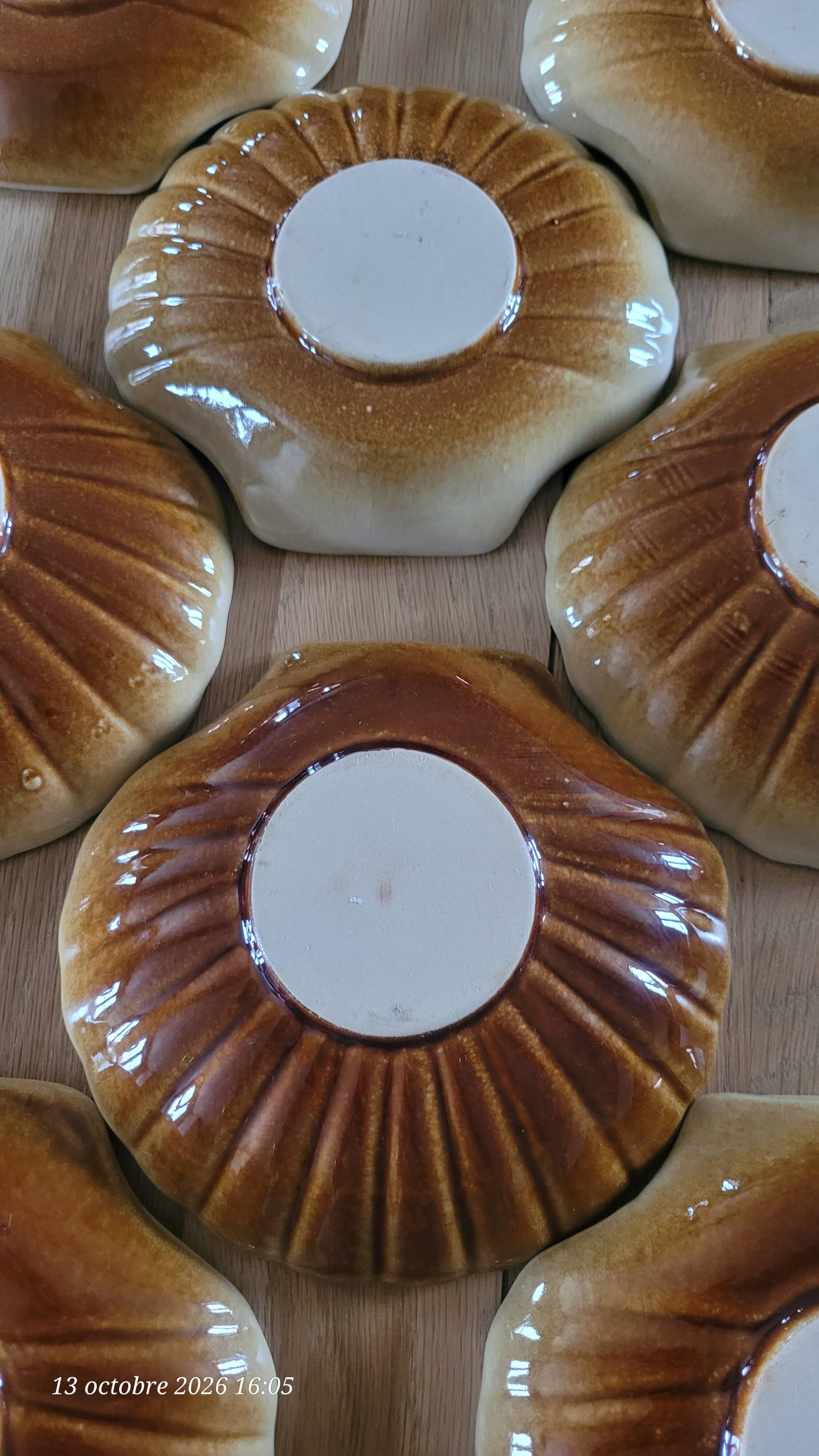 9 scallop shells in glazed stoneware