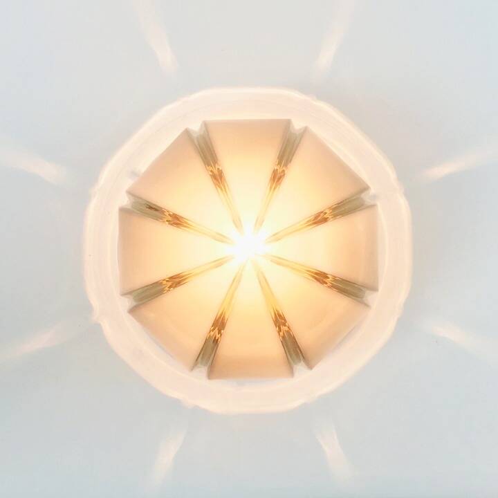 Dome Shaped Ceiling Light from Peill & Putzler, Germany, 1970s