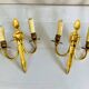 St Louis XVI gilded bronze wall lights with foliage and pine cone decorations