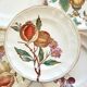 Longchamp Terre de fer dessert plates