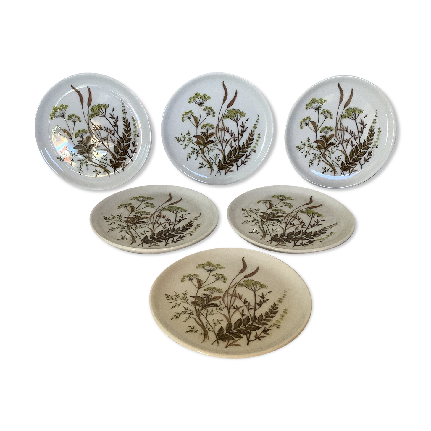 Bavarian Germany herbarium cups