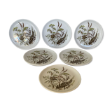 Bavarian Germany herbarium cups