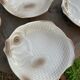 6 flat plates fish in beige ceramic Salins les bains