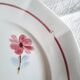 Mismatched antique earthenware dinner plates