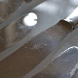 12 couteaux de table manches métal argenté & lames inox 22 cm