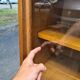 Showcase vintage library from the 60s