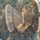 Vintage antique rattan wicker chair armchair