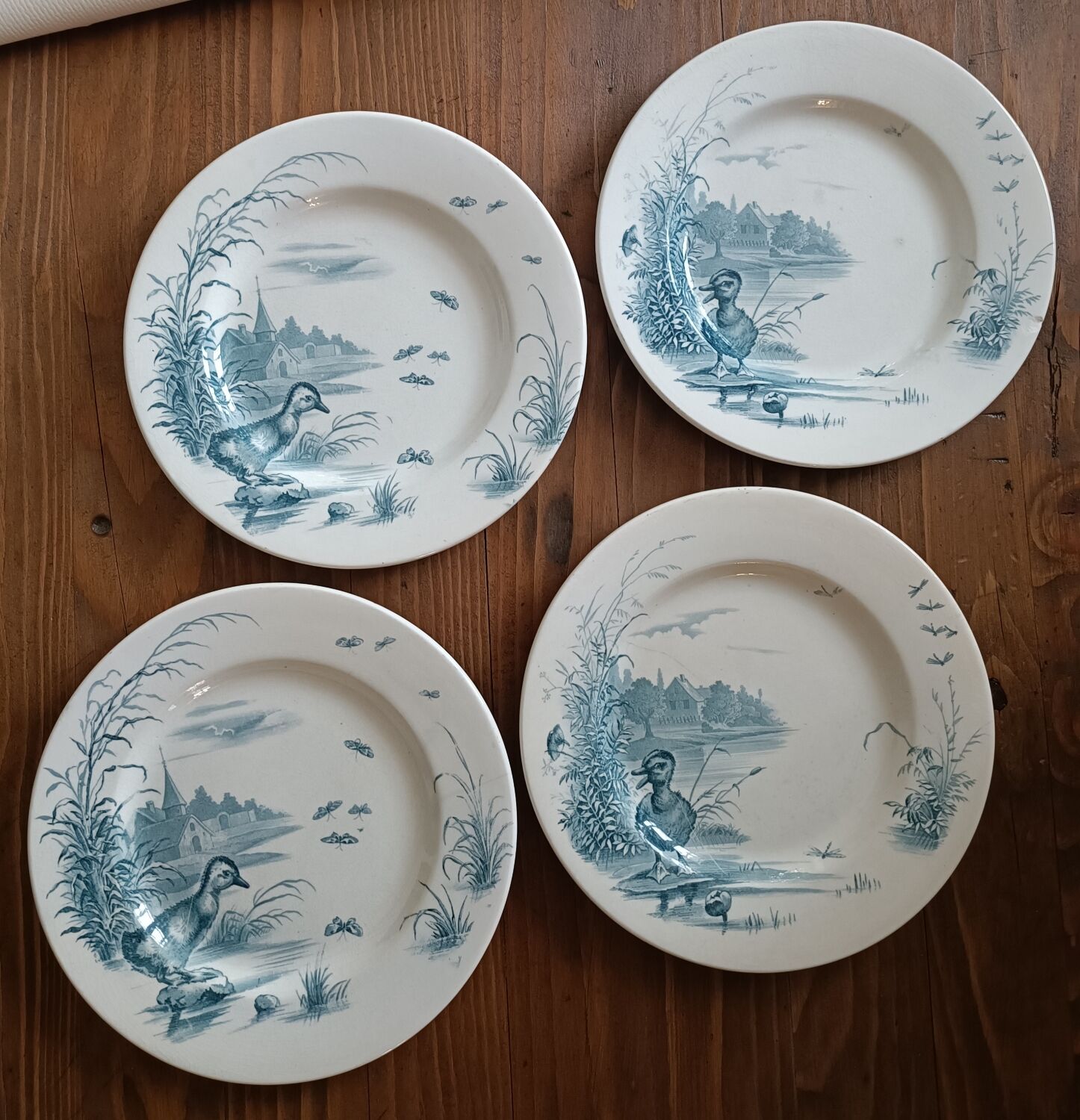 4 plates iron earth Gien model Ducks