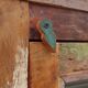 Polychrome teak display case