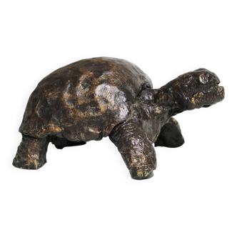 Turtle signed Closon