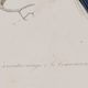 Lithographie gravure oiseaux vintage Buffon 1850