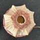 Paire de lampes de chevet  style Louis XVI – Soie rose & laiton- 1950