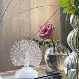 Crystal peacock book greenhouse