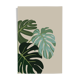 Illustration "Tropical Atmosphere" by Noums Atelier