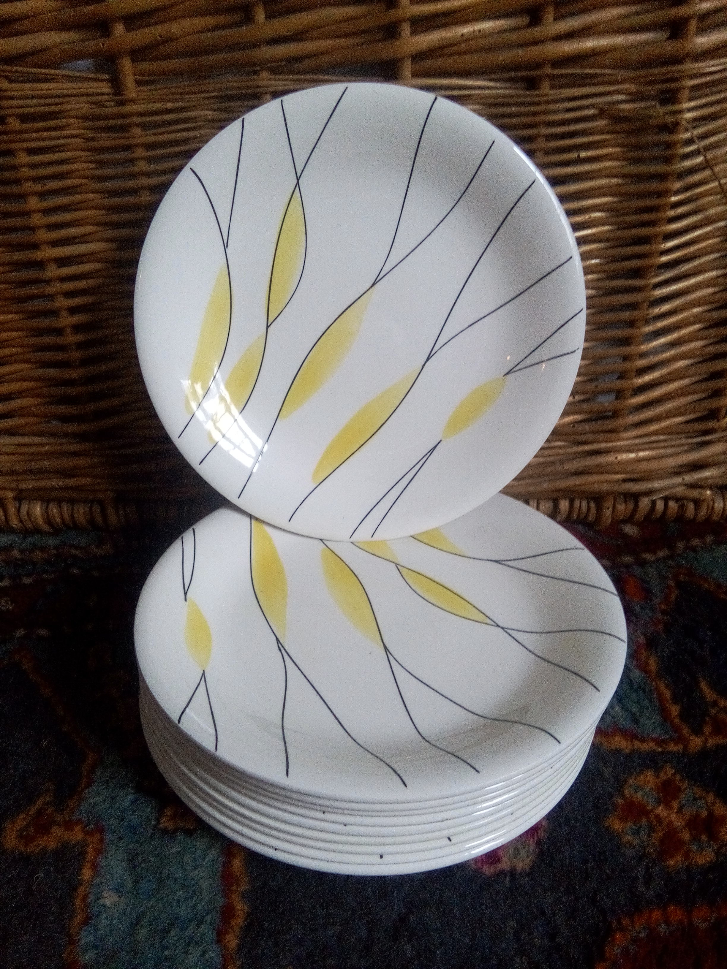 Salins "Moonlight" plates