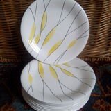 Salins "Moonlight" plates