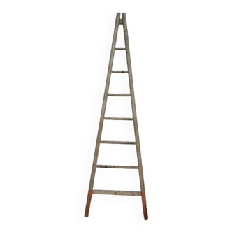 Old painter's ladder