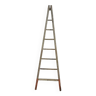 Old painter's ladder