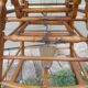 Old high chair for children Luterma