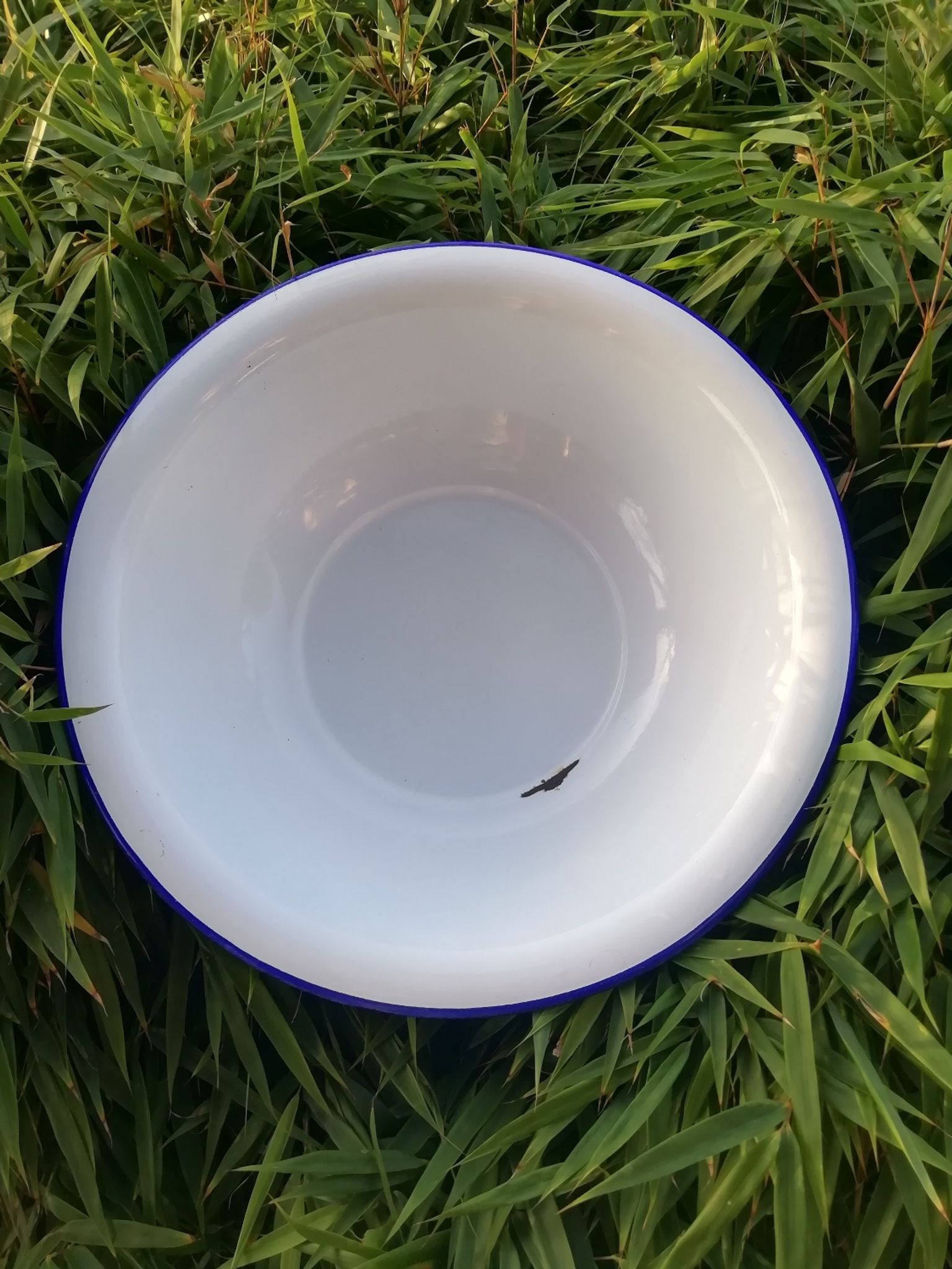 Bassine en tôle émaillée