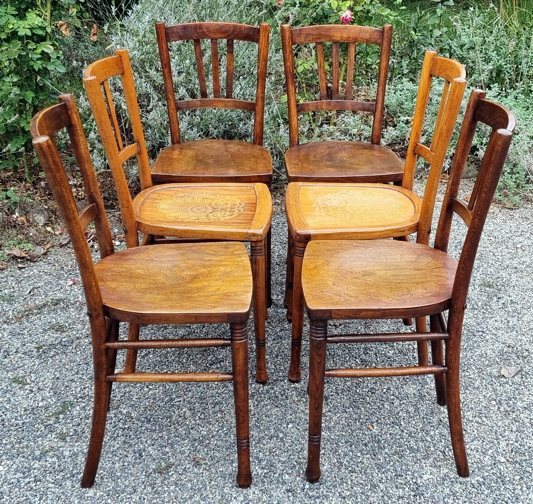 6 chairs bistrot companion 30/40s