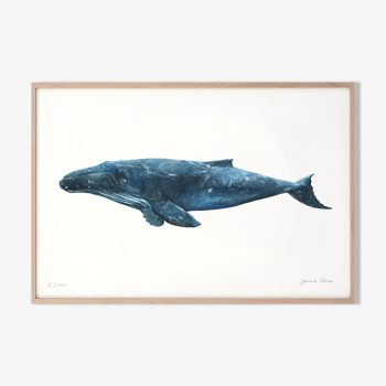 "Hélène" la baleine, tirage d'art 20/30cm