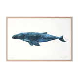 "Hélène" the whale, art print 20/30cm