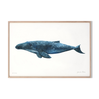 "Hélène" the whale, art print 20/30cm