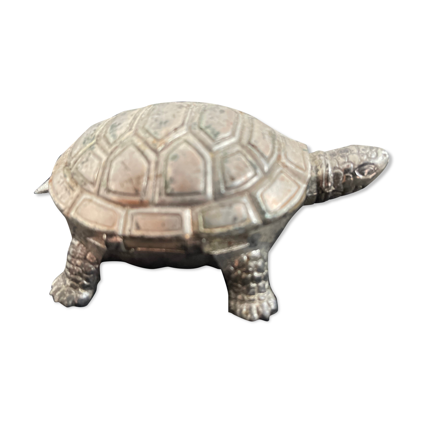 Ancient tortoise in silver metal