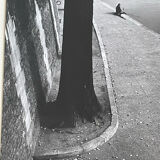 Photographie ancienne noir et blanc argentique début XXe