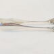 Sugar/Glacon Clamp SFAM in silver metal lion's claw