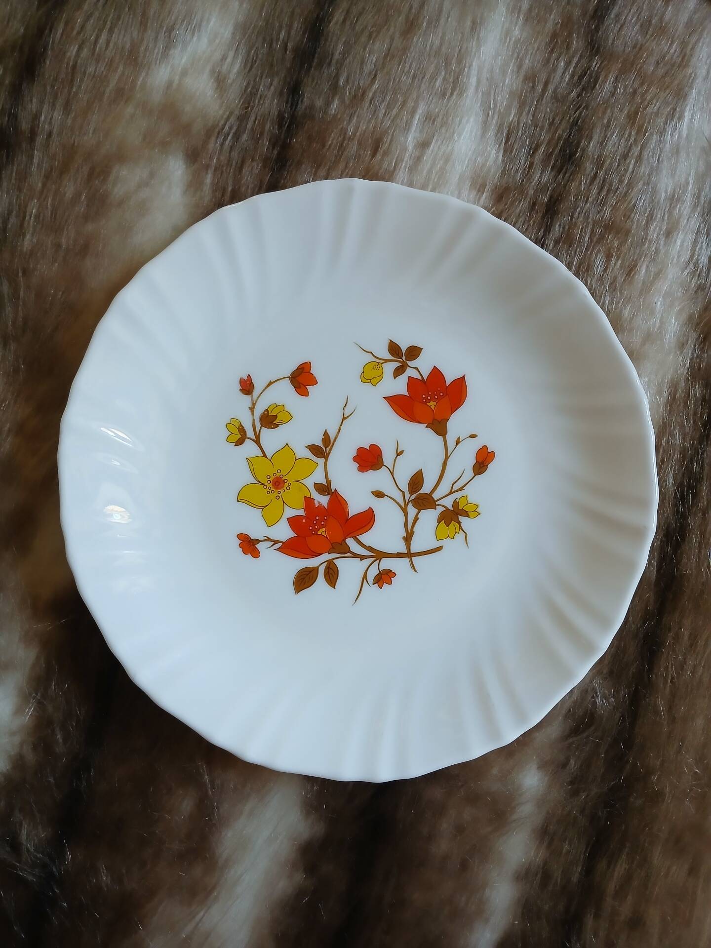 6 vintage dessert plates in Arcopal