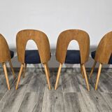 Dining Chairs by Antonin Suman, 1960s, Set of 4