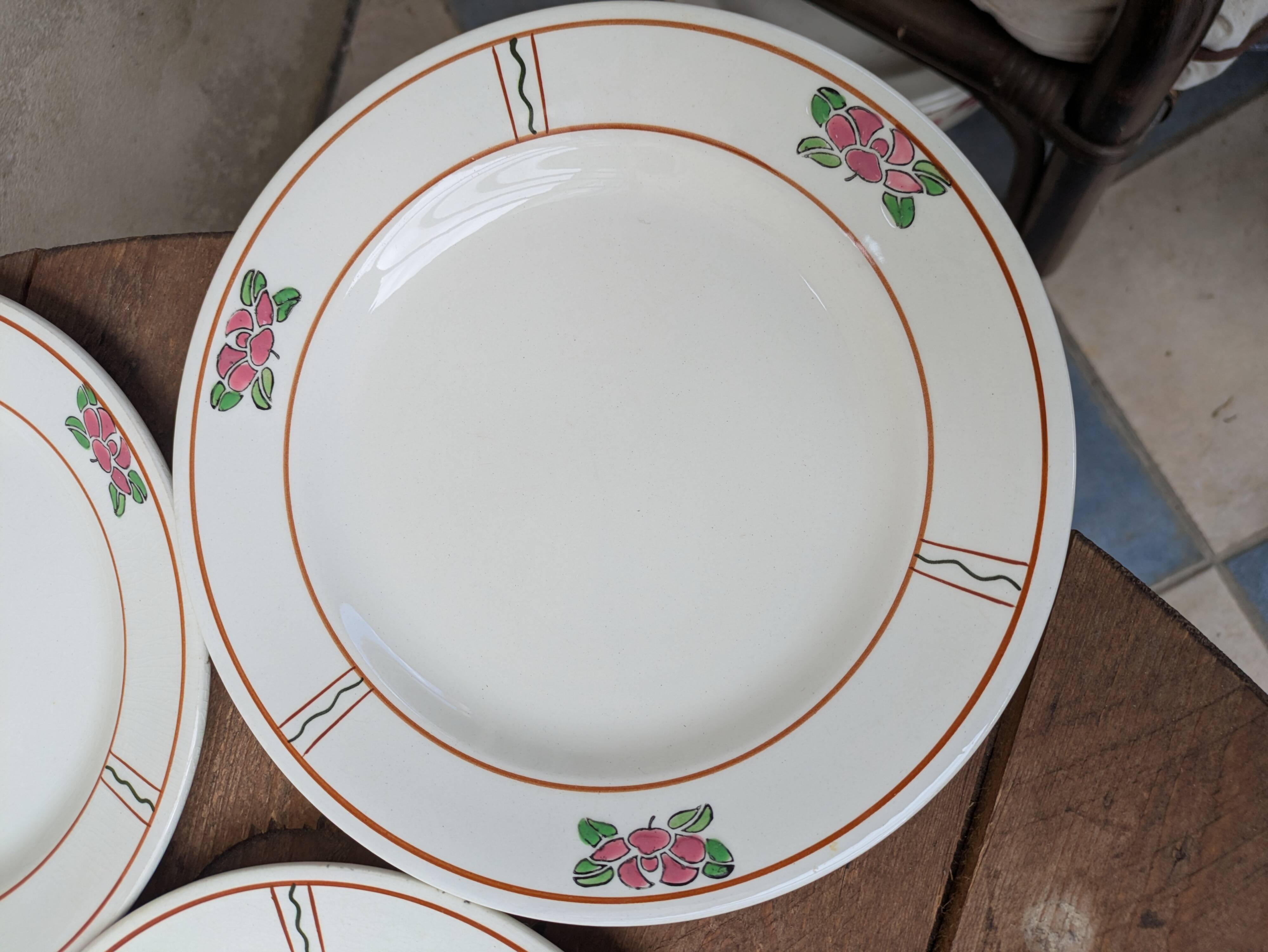 9 old flat plates in Salins ironstone model Nénuphar 24.5cm