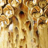 Amber Honey Ceramic Cache-Pot with Sculpted Floral Decor - Bohemian Style