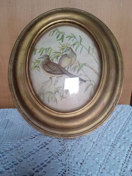 Antique oval curved glass frame 46/36c