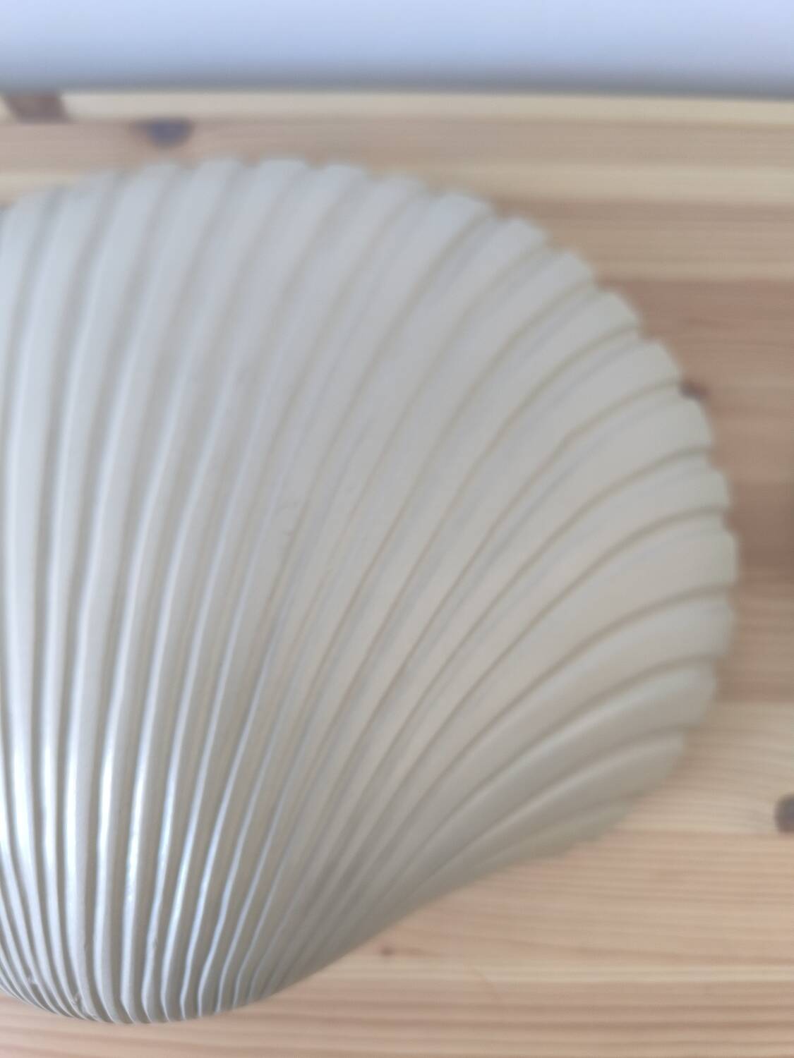 Pair of shell wall lights by Michèle Mahé, 1960s